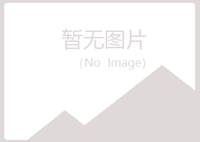 大新县从容能源有限公司